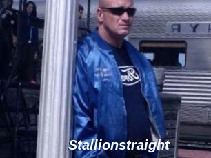 Stallionstraight