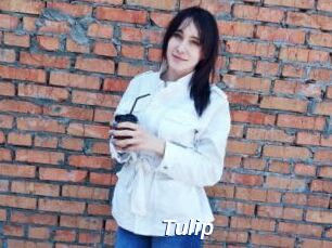 Tulip