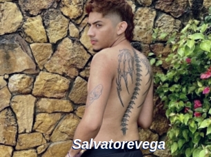 Salvatorevega