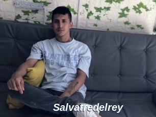 Salvatredelrey