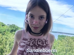 Sandieboerm