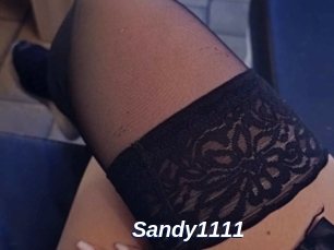 Sandy1111