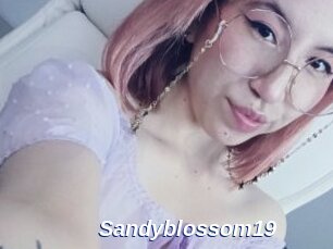 Sandyblossom19