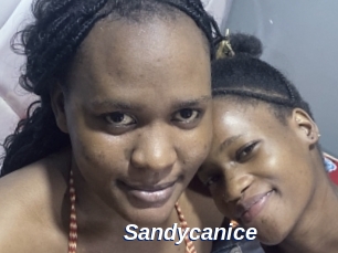 Sandycanice