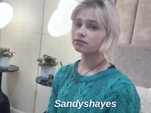 Sandyshayes