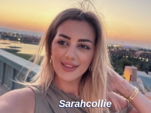 Sarahcollie