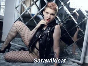 Sarawildcat