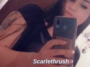 Scarlethrush