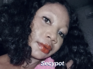Secypot