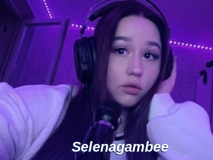 Selenagambee