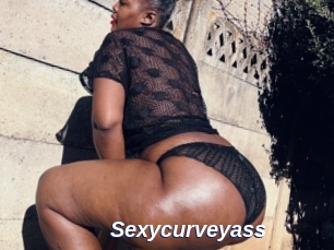 Sexycurveyass
