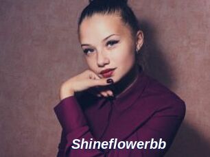 Shineflowerbb