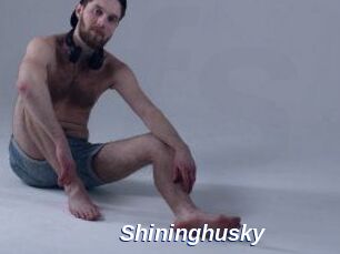 Shininghusky