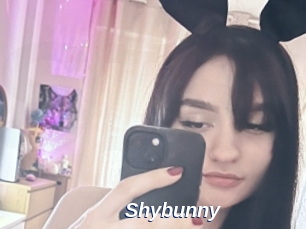 Shybunny