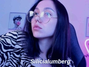 Silicialumberg