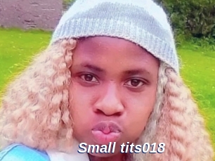 Small_tits018