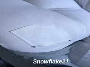 Snowflake21