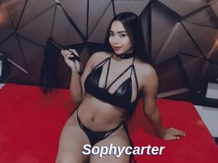 Sophycarter