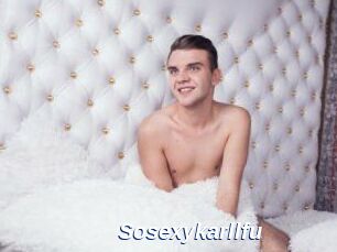 Sosexykarllfu