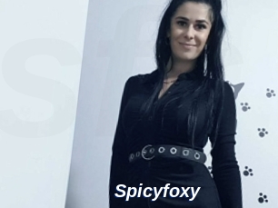 spicyfoxy Safer Sex