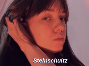 Steinschultz