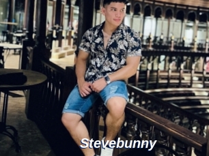 Stevebunny