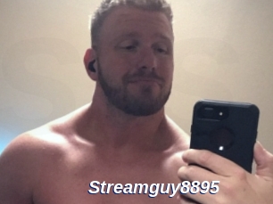 Streamguy8895