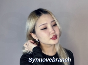 Synnovebranch
