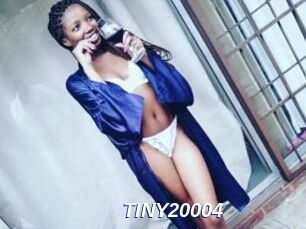 TINY20004