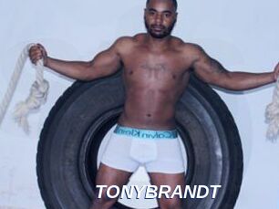 TONYBRANDT