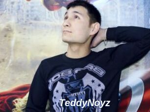TeddyNoyz