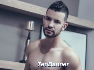 TeoBanner