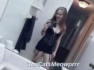 TheCatsMeowprrr
