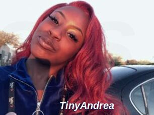 TinyAndrea