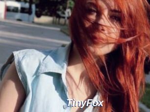 TinyFox
