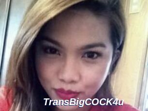 TransBigCOCK4u
