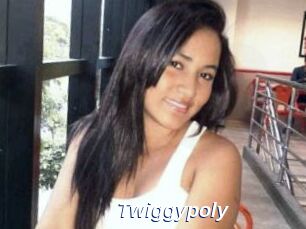 Twiggypoly