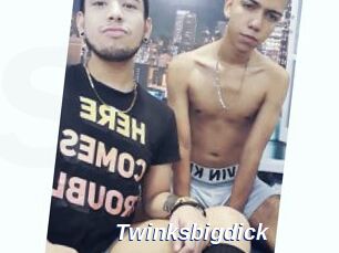 Twinksbigdick