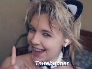 Taitebucher