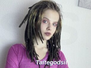 Taitegodsil