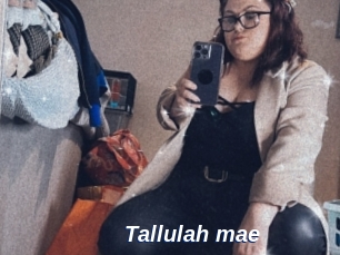 Tallulah_mae