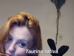Taurina_sativa