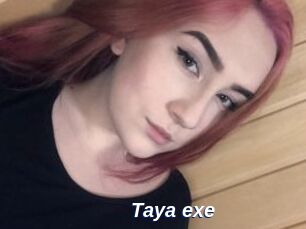 Taya_exe