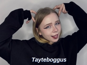 Tayteboggus