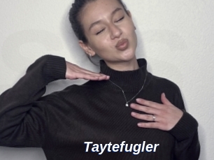 Taytefugler