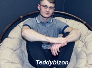 Teddybizon