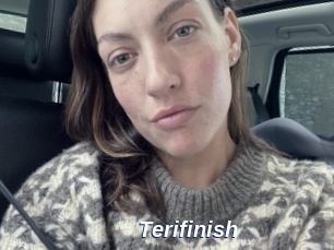 Terifinish