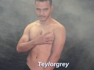 Teylorgrey