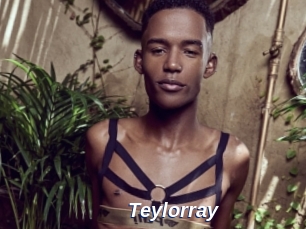 Teylorray