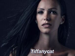 Tiffanycat